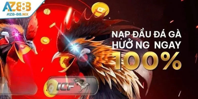 Sơ lược về khuyến mãi trong sảnh đá gà