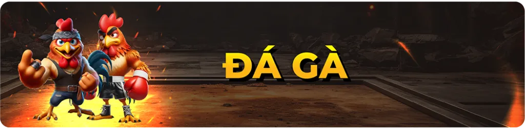 DG 1